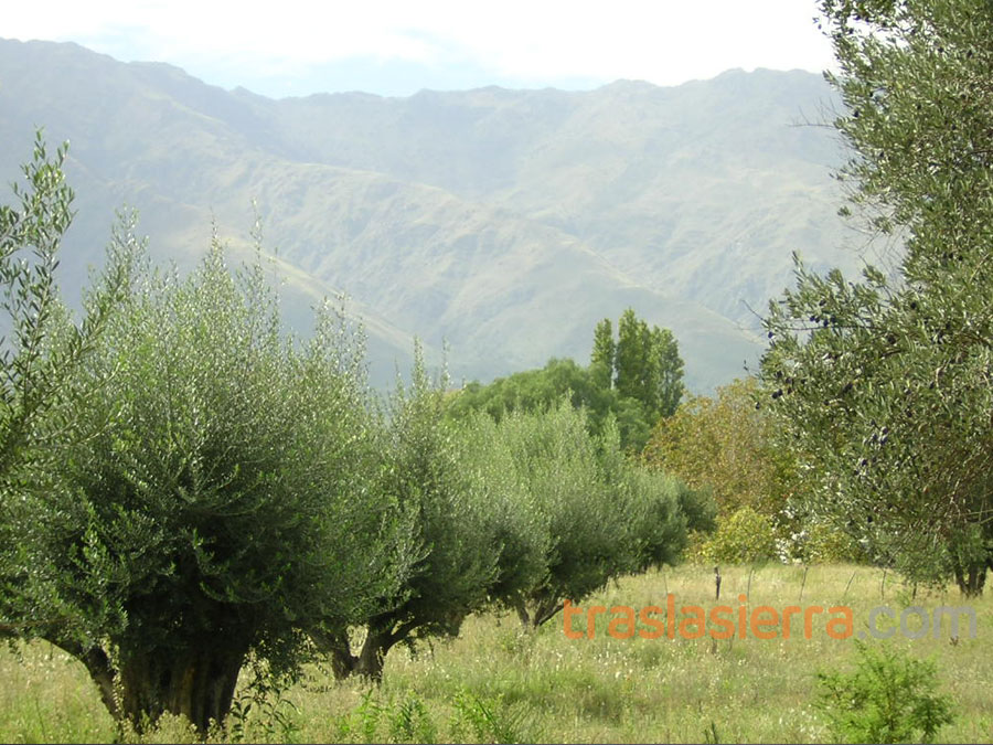 Las Tapias